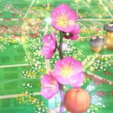 【ピクミンブルーム】梅の花の咲かせ方とエキスの入手方法