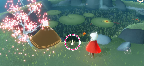 煌めきを放つ親に花鳥郷で会いましょう
