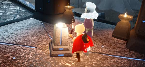 風変わりなひとり好きに雨林で会いましょう