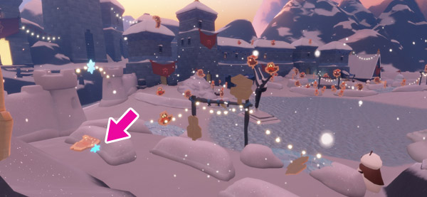 専用通貨の場所