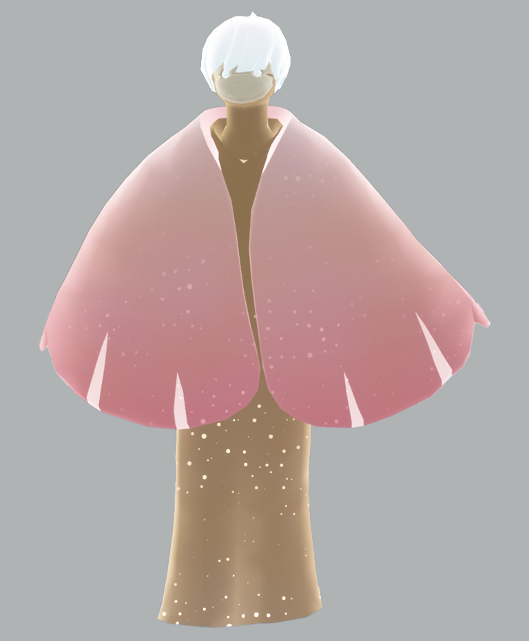 感謝する貝殻収集家